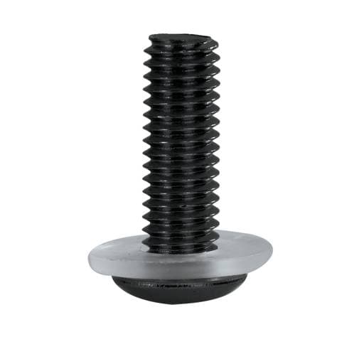 Oxford Black Screen Screw
